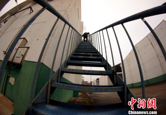 中央儲(chǔ)備糧江西泰和直屬庫(kù)有限公司保管員在倉(cāng)庫(kù)巡查。　王昊陽(yáng) 攝
